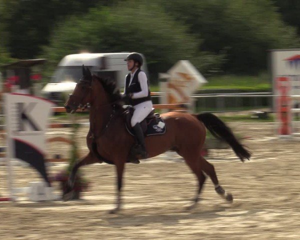 Reitturnier Weiswampach  2024