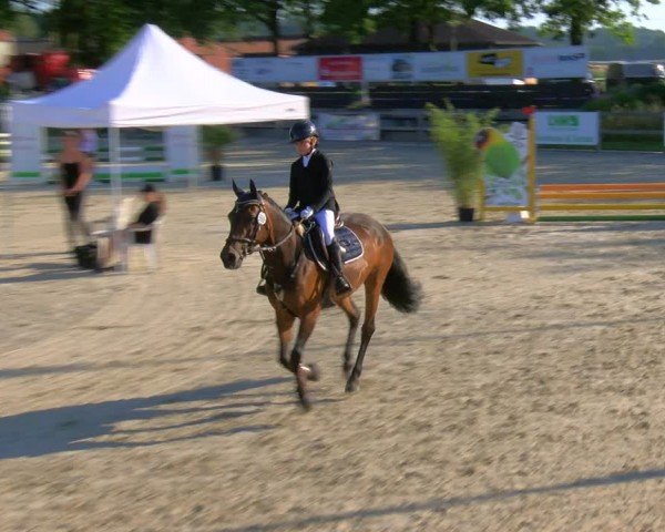 Reitturnier Barlo-Bocholt 2024