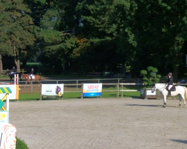 Reitturnier Barlo-Bocholt 2024