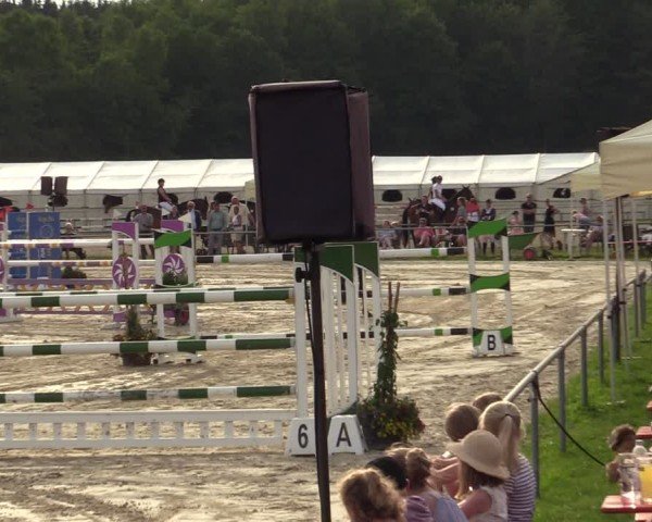 Reitturnier Weiswampach 2024