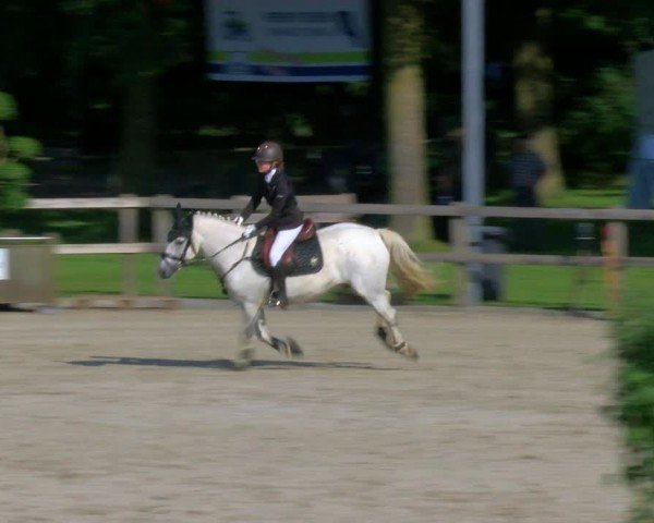 Reitturnier Barlo-Bocholt 2024