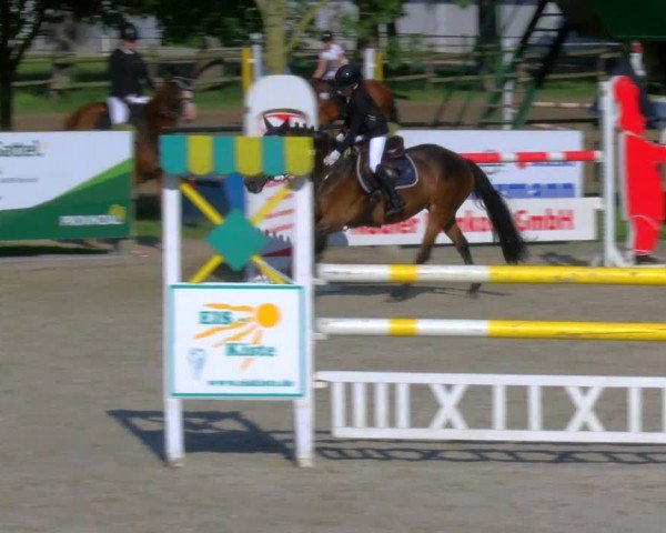 Reitturnier Barlo-Bocholt 2024