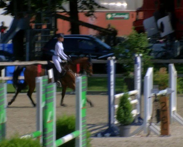 Reitturnier Barlo-Bocholt 2024