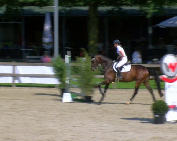 Reitturnier Barlo-Bocholt 2024