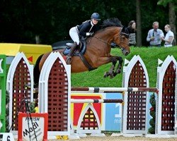 broodmare Querida River (Holsteiner, 2010, from Quidam de Revel)