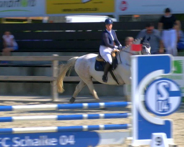 Reitturnier Barlo-Bocholt 2024