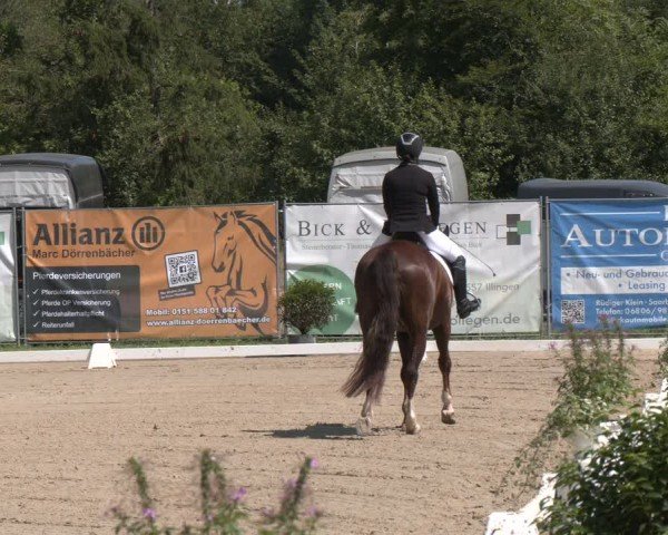 Reitturnier Heiligenwald 2024