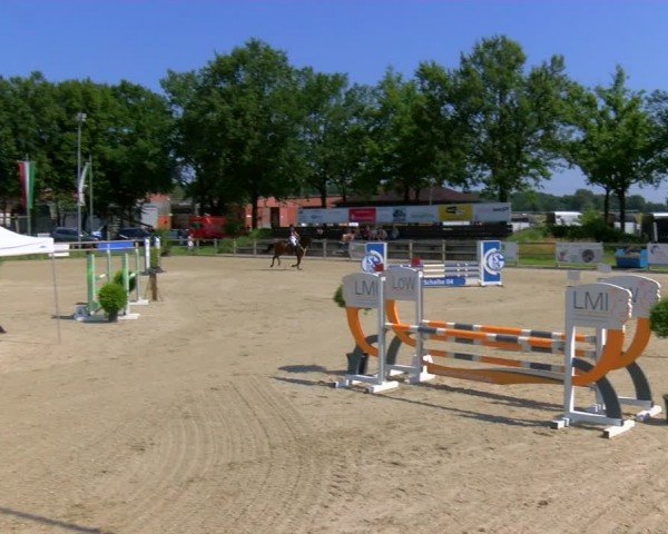 Reitturnier Barlo-Bocholt 2024