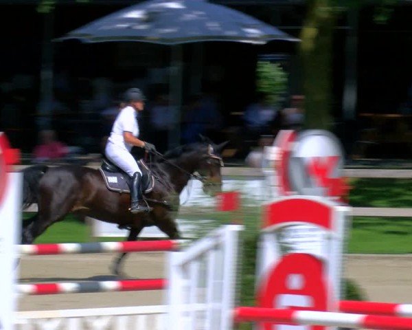 Reitturnier Barlo-Bocholt 2024