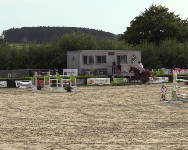 Reitturnier Weiswampach  2024