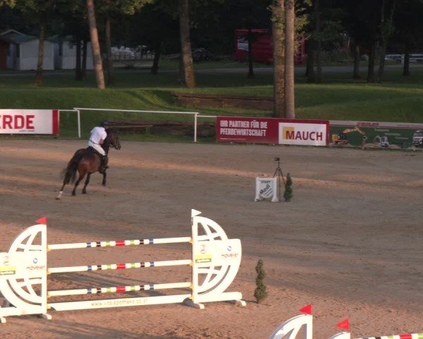 Reitturnier Stadl-Paura 2024