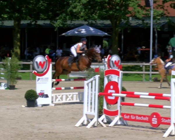 Reitturnier Barlo-Bocholt 2024
