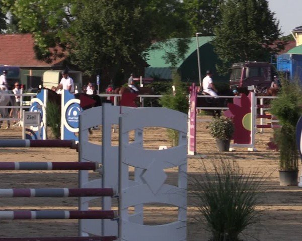Reitturnier Neustadt/Dosse 2024