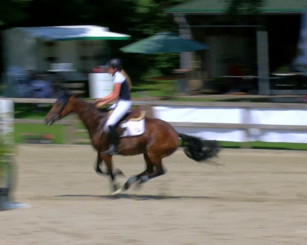 Reitturnier Barlo-Bocholt 2024