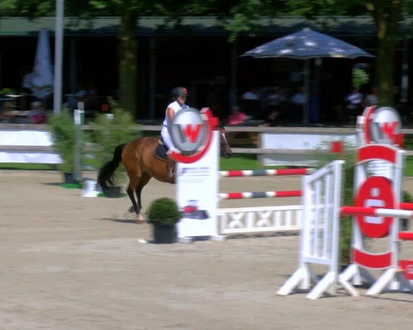 Reitturnier Barlo-Bocholt 2024
