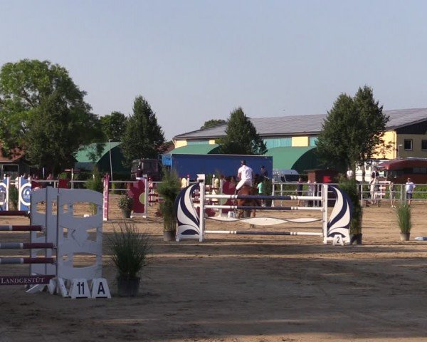Reitturnier Neustadt/Dosse 2024
