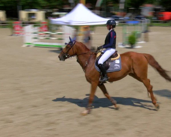 Reitturnier Barlo-Bocholt 2024