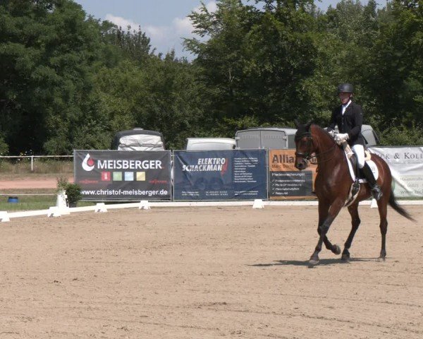 Reitturnier Heiligenwald 2024