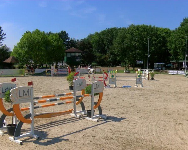 Reitturnier Barlo-Bocholt 2024