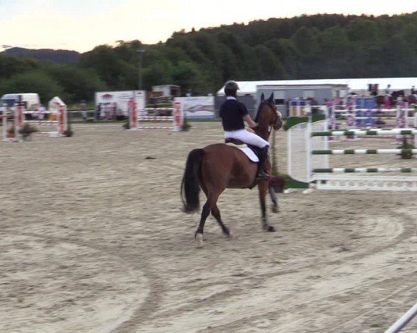 Reitturnier Weiswampach 2024