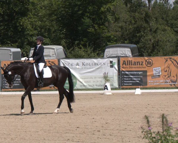 Reitturnier Heiligenwald 2024
