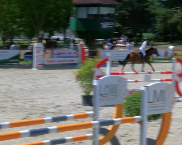 Reitturnier Barlo-Bocholt 2024
