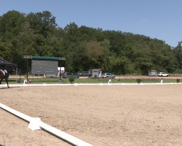 Reitturnier Heiligenwald 2024