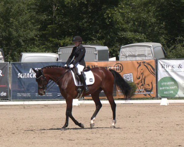 Reitturnier Heiligenwald 2024