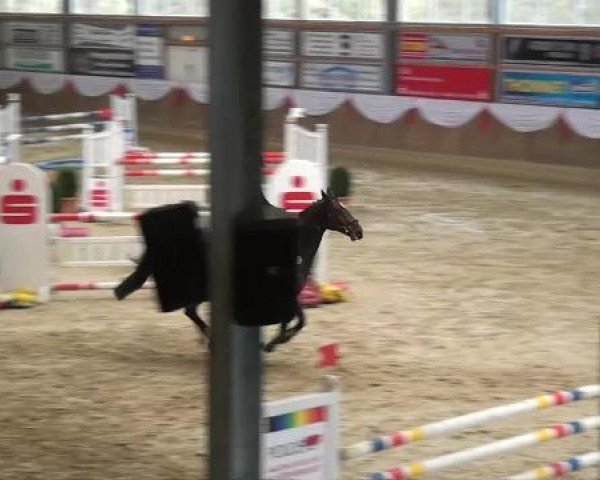 Spring-Event Goch 2013