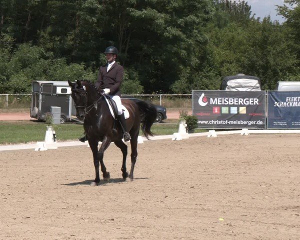 Reitturnier Heiligenwald 2024