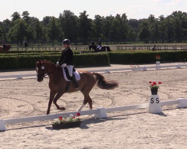 Reitturnier Neustadt/Dosse 2024