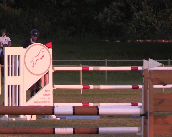 Reitturnier Gardelegen 2024