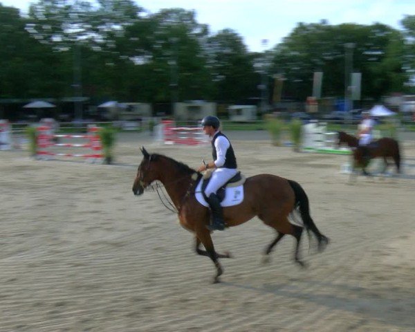 Reitturnier Barlo-Bocholt 2024