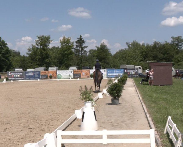 Reitturnier Heiligenwald 2024