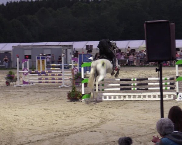 Reitturnier Weiswampach  2024