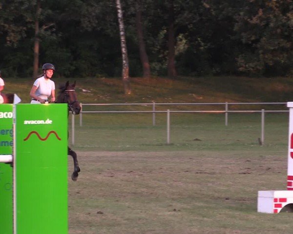 Reitturnier Gardelegen 2024