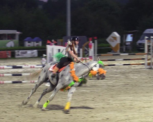 Reitturnier Weiswampach  2024