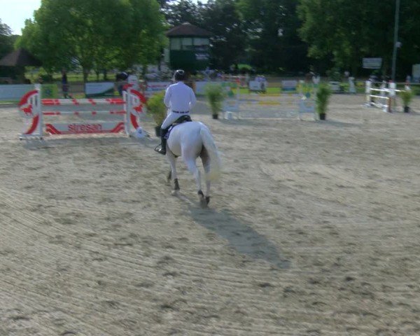 Reitturnier Barlo-Bocholt 2024