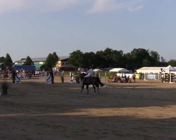 Reitturnier Neustadt/Dosse 2024