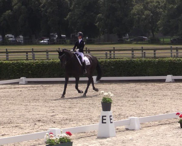 Reitturnier Neustadt/Dosse 2024