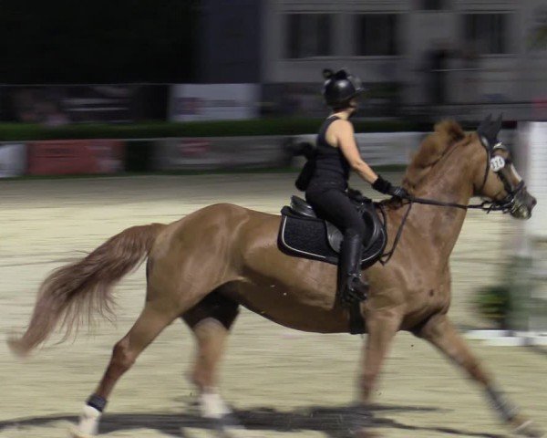 Reitturnier Weiswampach  2024