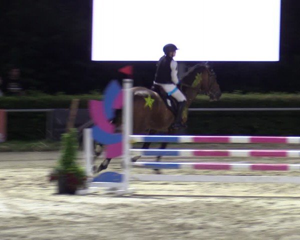 Reitturnier Weiswampach  2024