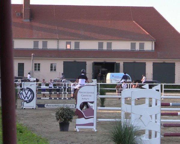 Reitturnier Neustadt/Dosse 2024