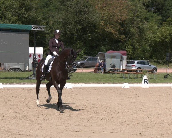 Reitturnier Heiligenwald 2024