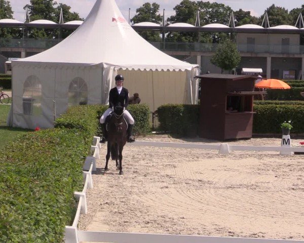 Reitturnier Neustadt/Dosse 2024