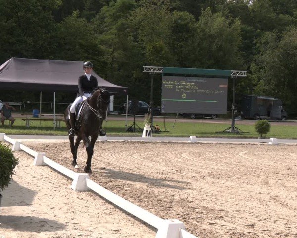 Reitturnier Heiligenwald 2024