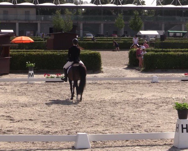 Reitturnier Neustadt/Dosse 2024