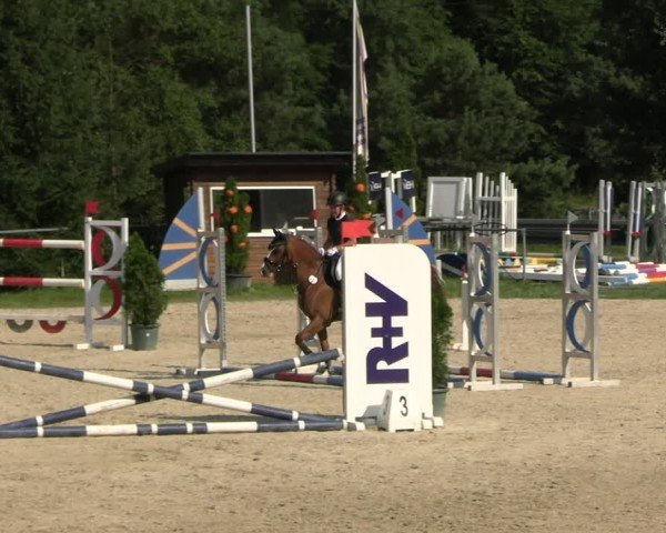 Reitturnier Bad Liebenstein/Sorga 2024