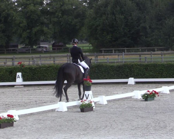Reitturnier Neustadt/Dosse 2024