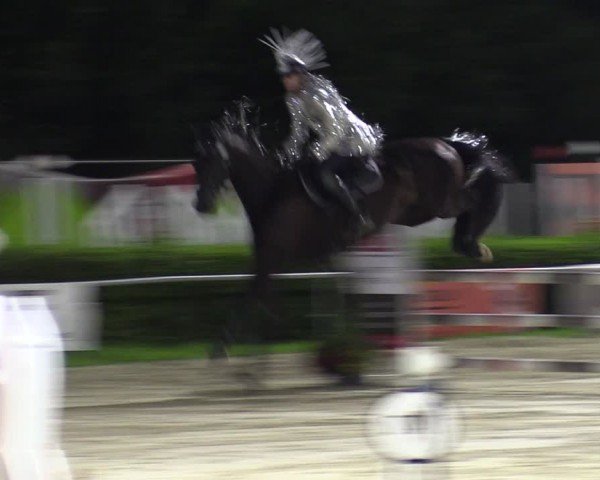 Reitturnier Weiswampach  2024